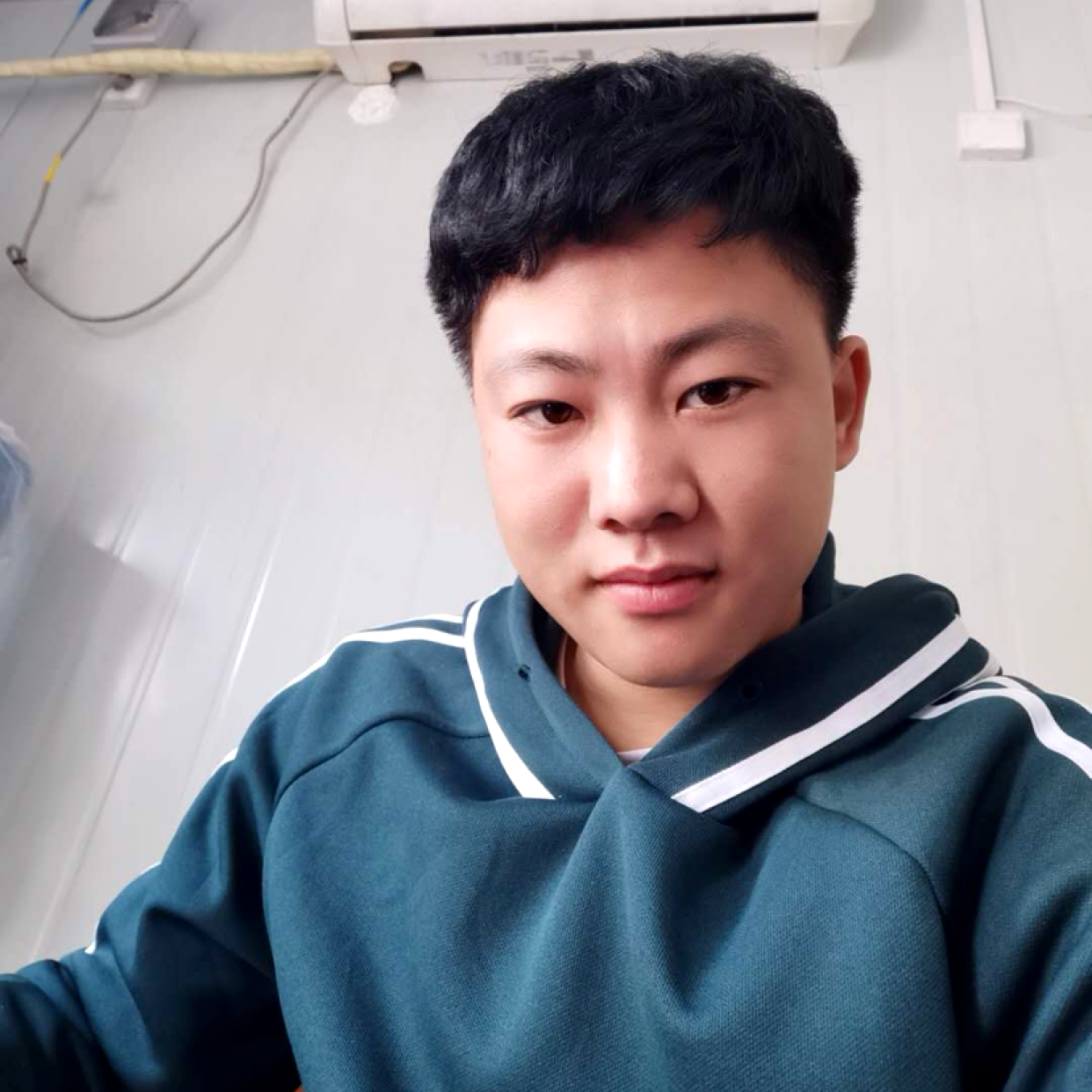 小懒猪倾心刻苦的照片