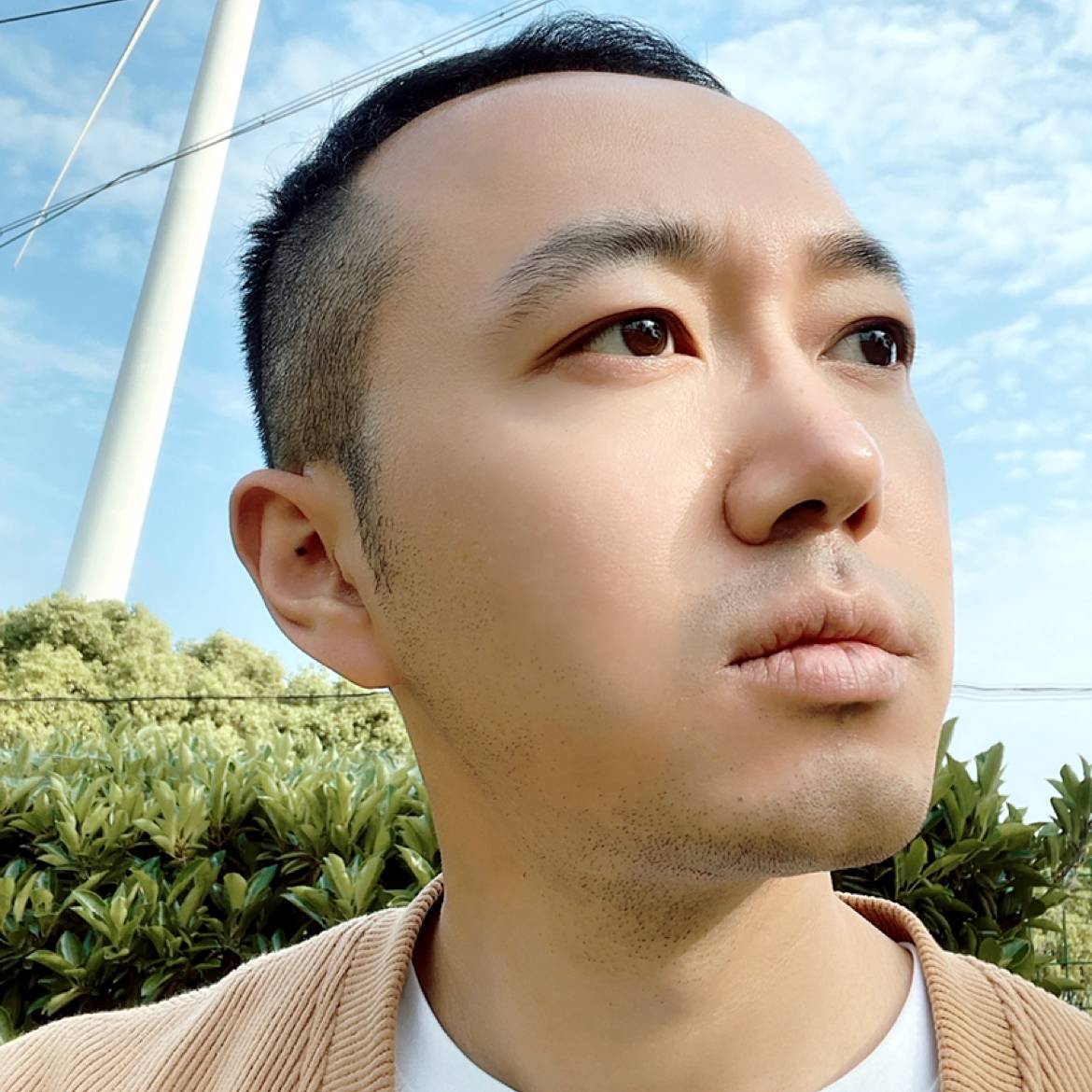 宙斯008的照片