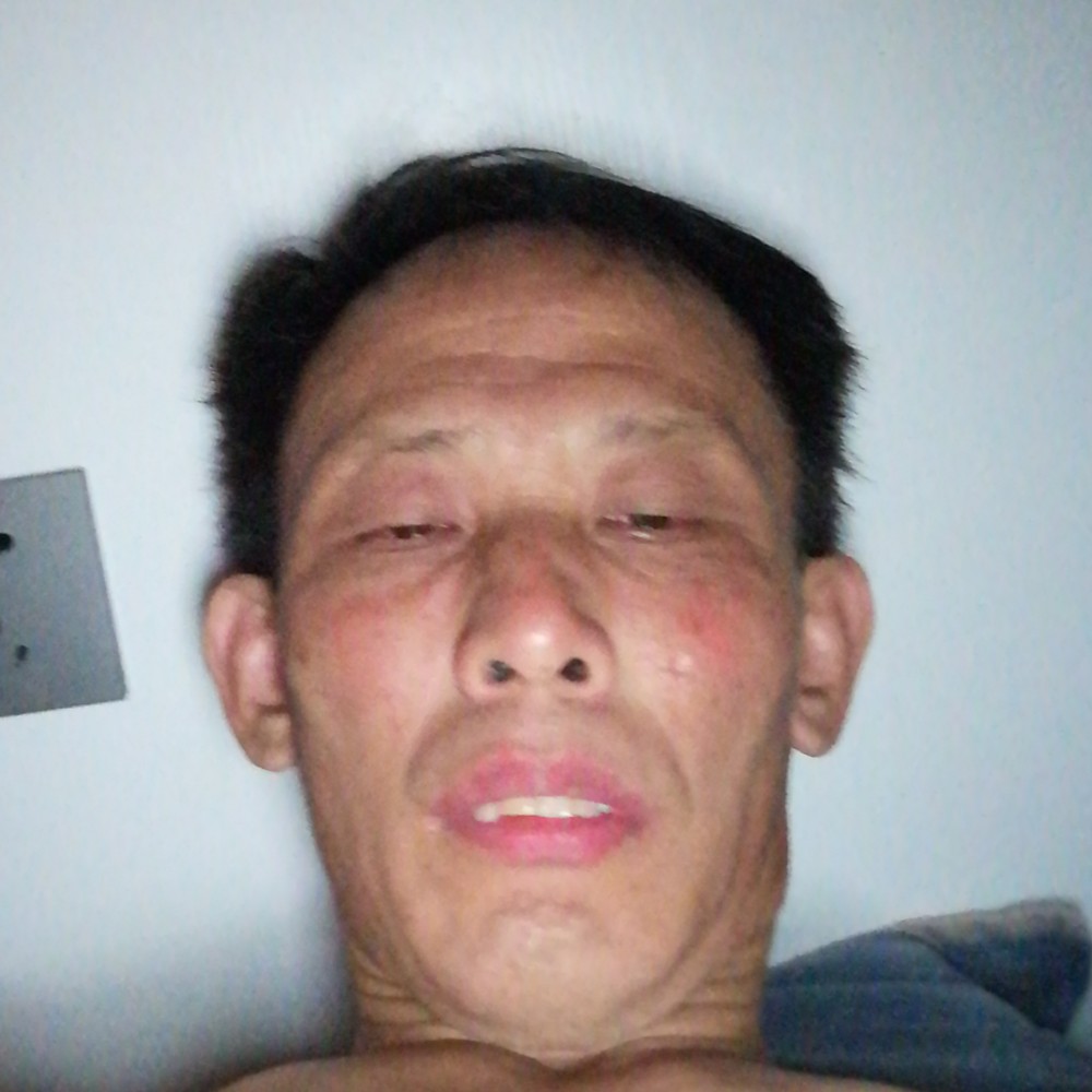 皮皮猪7183的照片