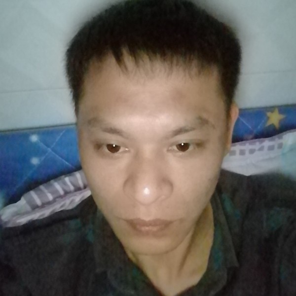 迷路向雨的照片
