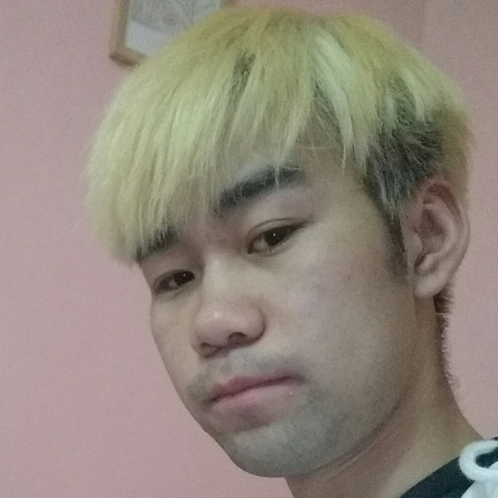 刺猬背后的照片