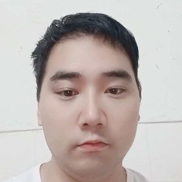 大雁等待含蓄的照片