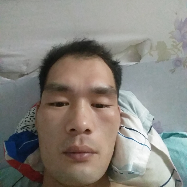 奇异果陶醉的照片