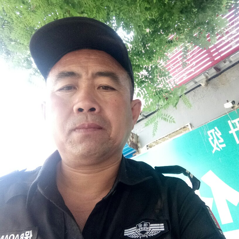 长颈鹿爱恋暧昧的照片