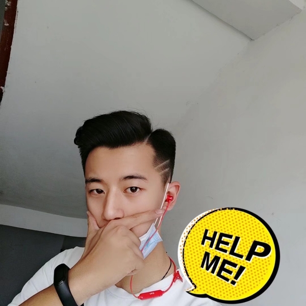 白昼漫步聪慧的照片