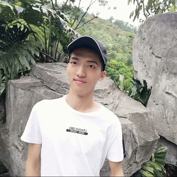 黄蜂沉默的照片