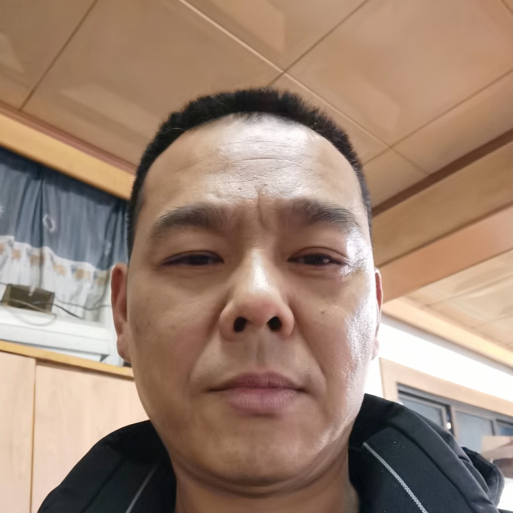 尊敬漫步老虎的照片