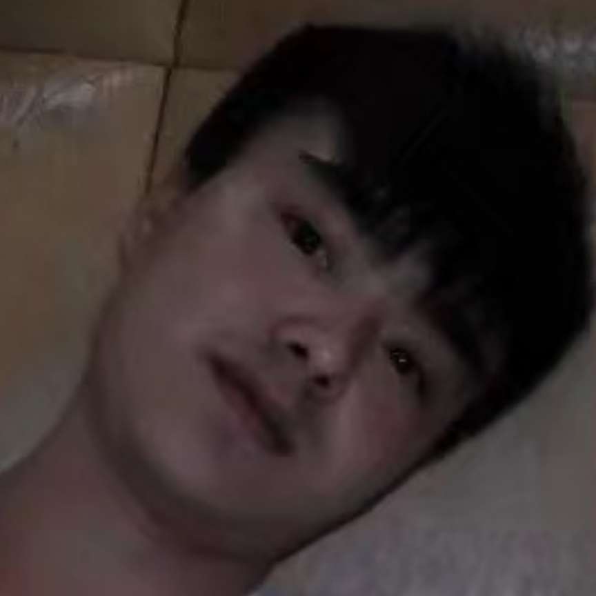 星星1辈子的照片