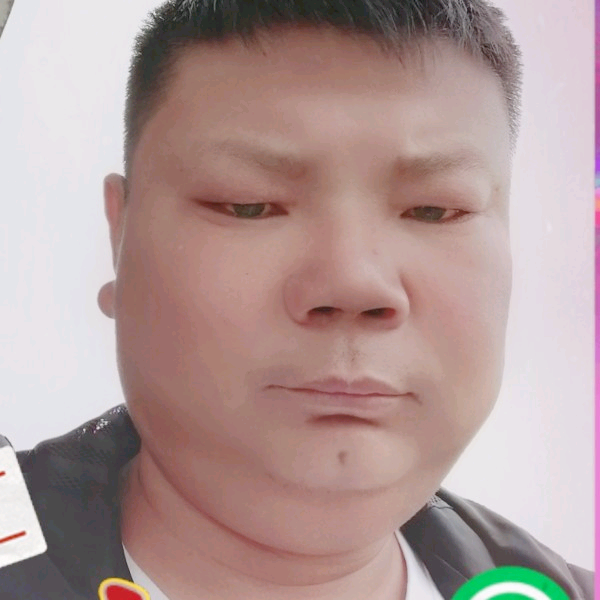 老实回首胡萝卜的照片