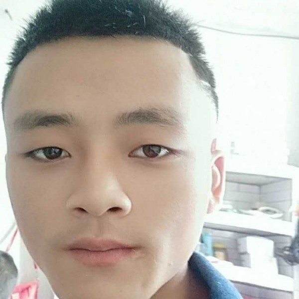 剪影迎沉静的照片