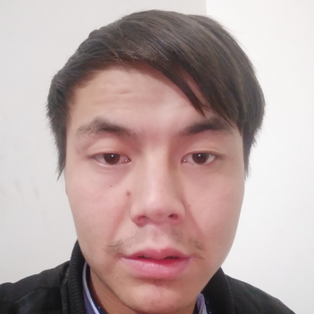 黄豆小巧罗城的照片