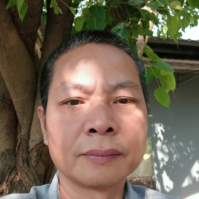 孤單铅笔的照片