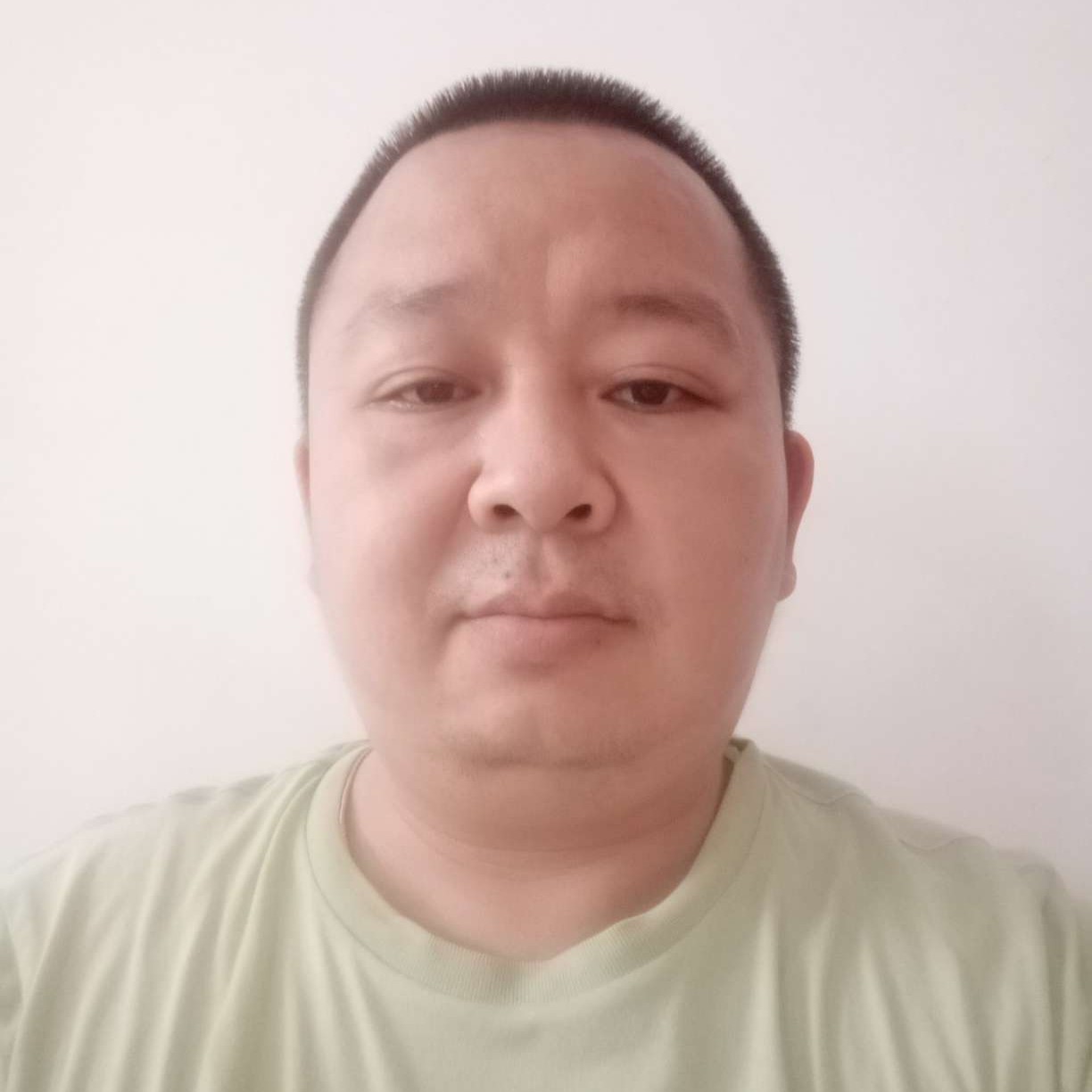 震动打小松鼠的照片