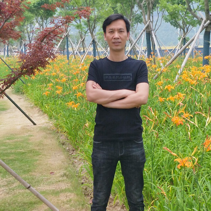 早晨凝眸的照片