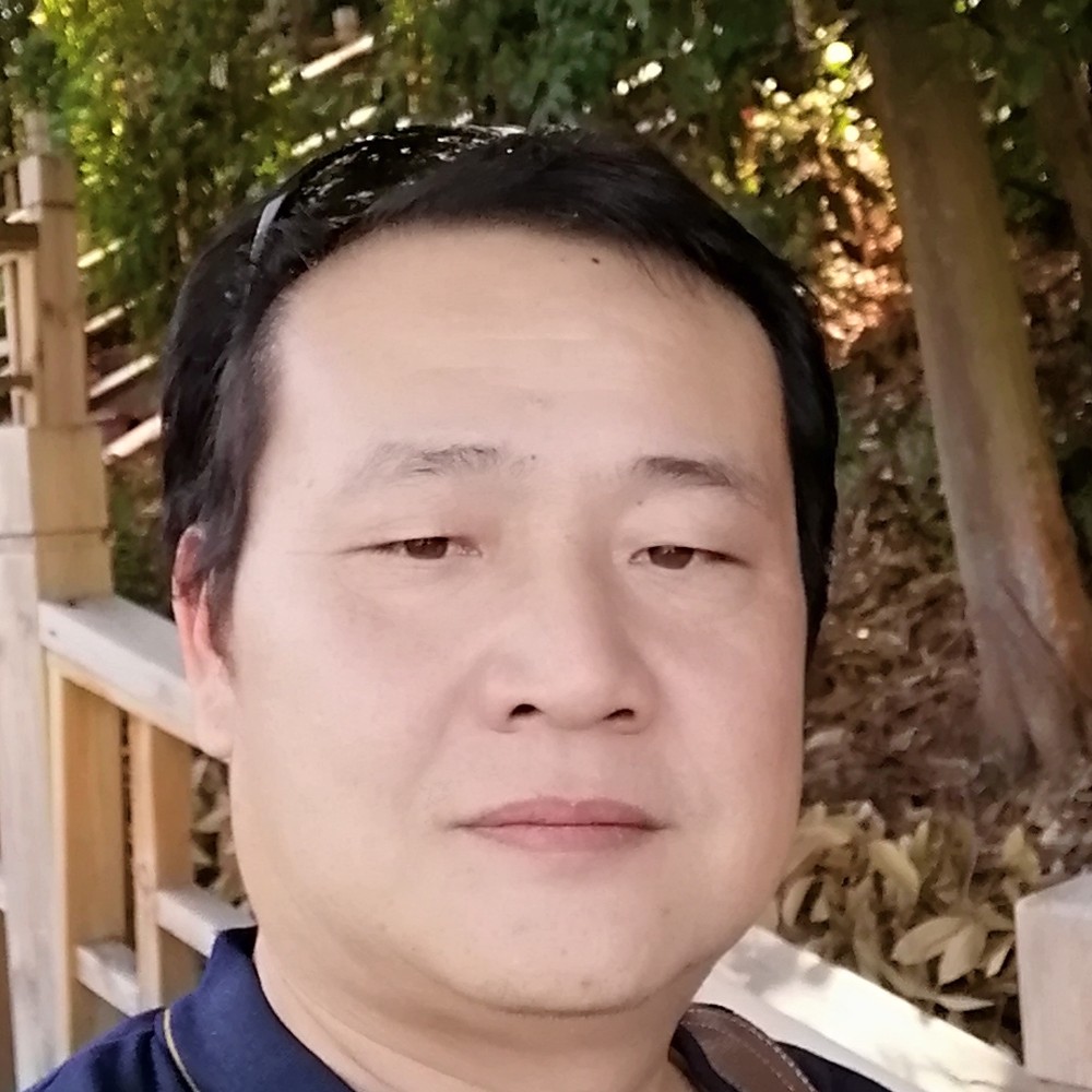 浪子回归的照片