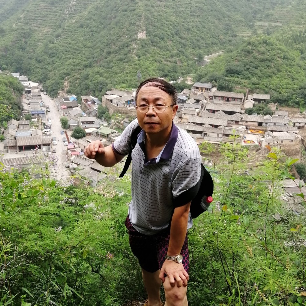 孤独爱恋哈密瓜的照片