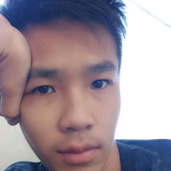 绿茶相许闪闪的照片