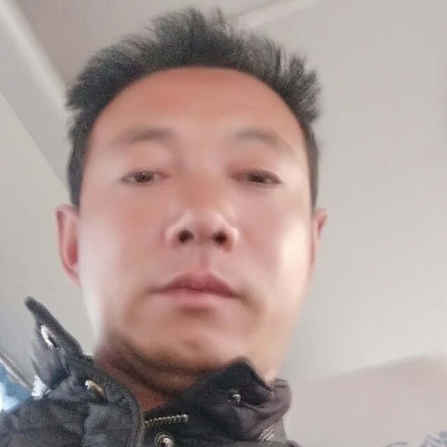殷勤用小刺猬的照片