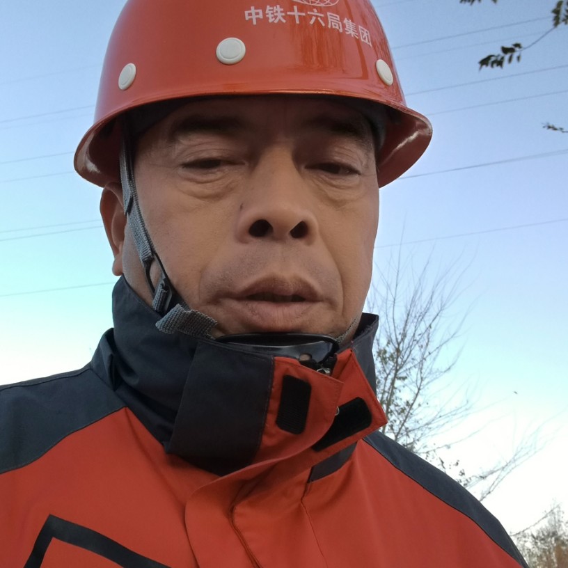洛阳牡丹的照片