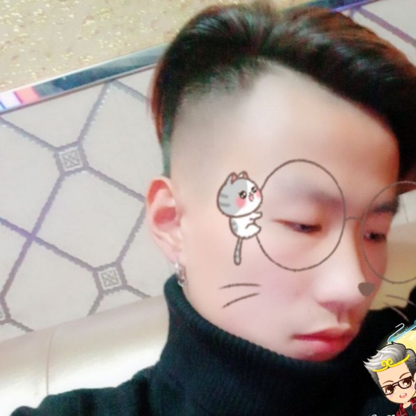 风趣龙猫的照片