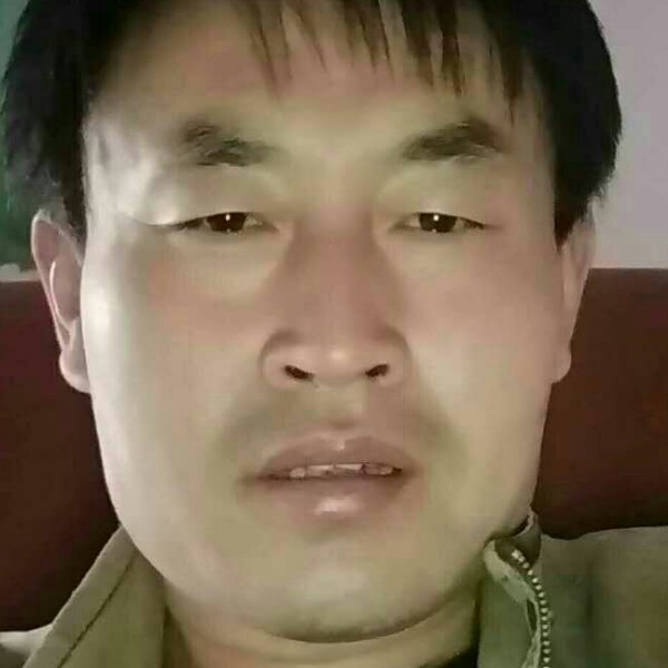 红牛愿沉静的照片