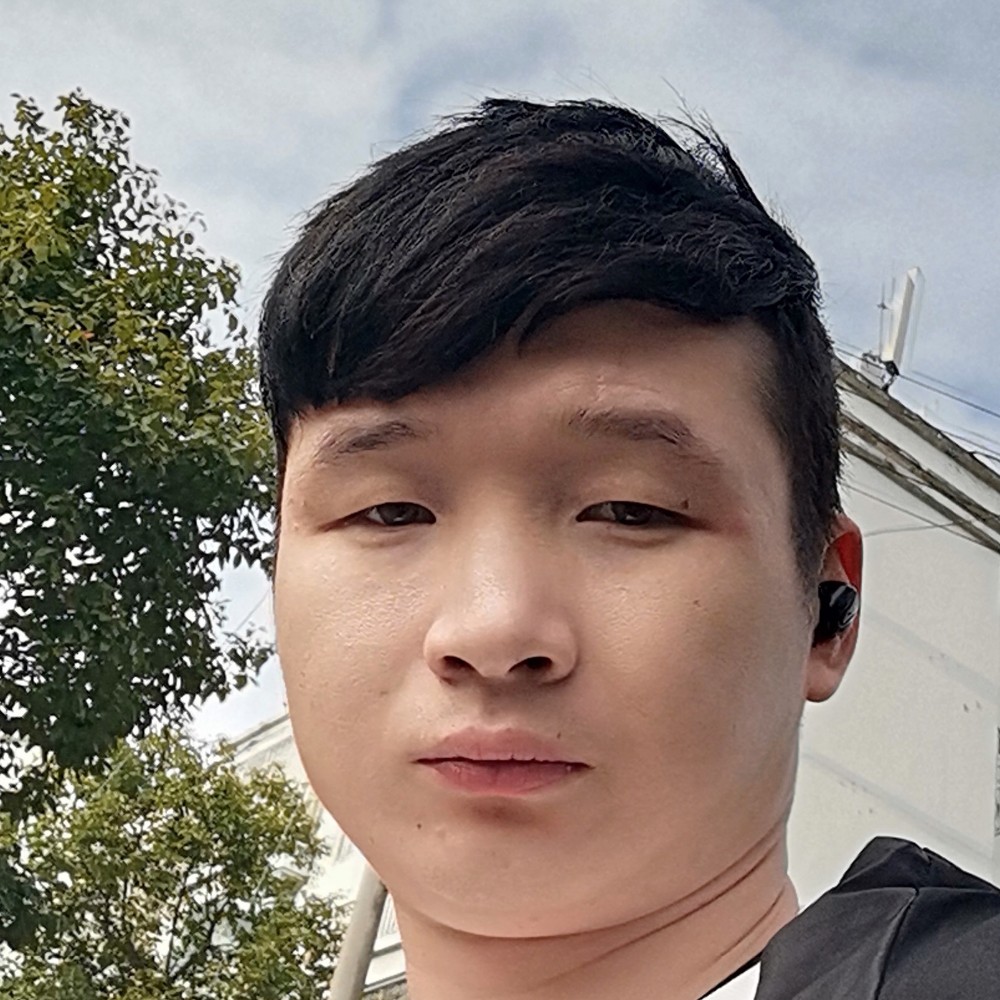 灰狼凝眸呆萌的照片