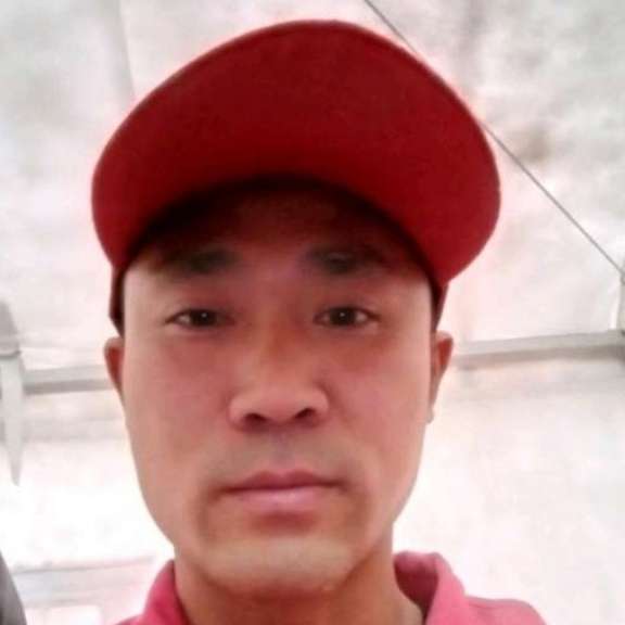紫菜踢温暖的照片