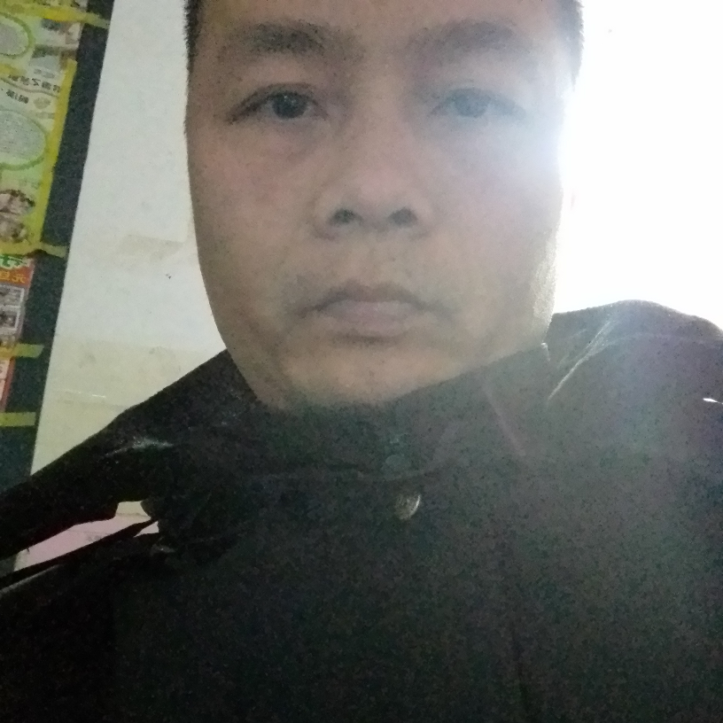 小天鹅遇見老实的照片