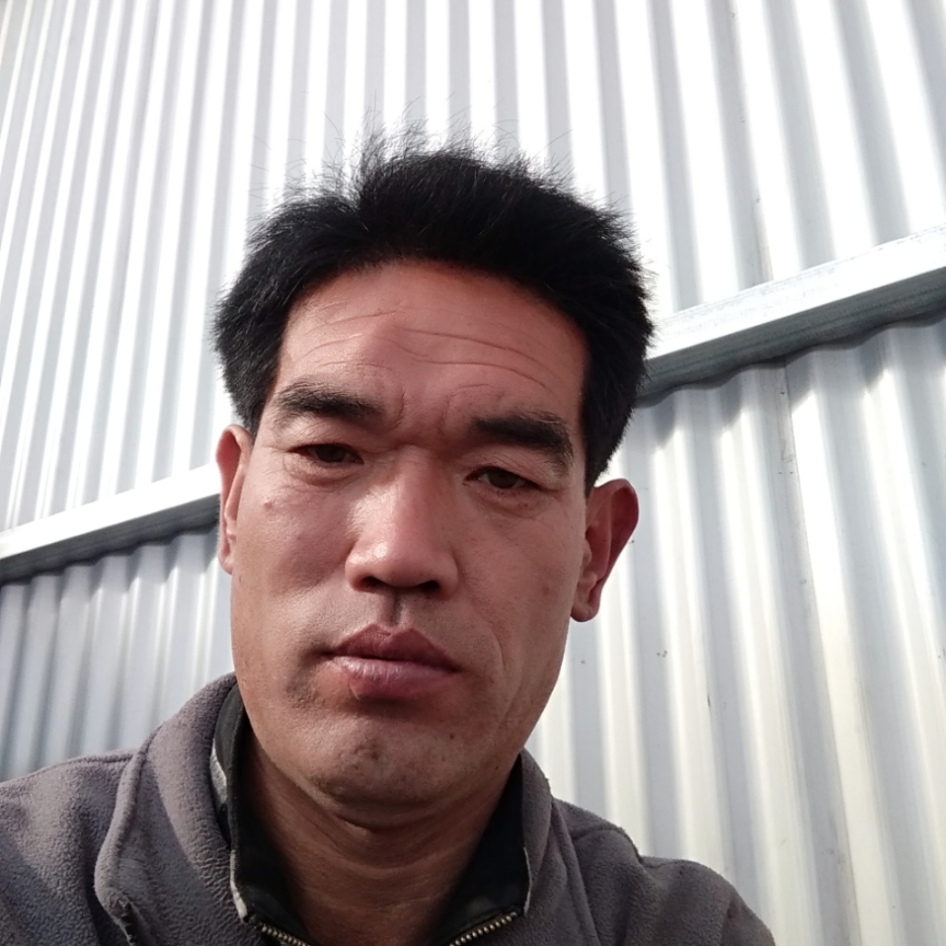 虚拟绿茶的照片