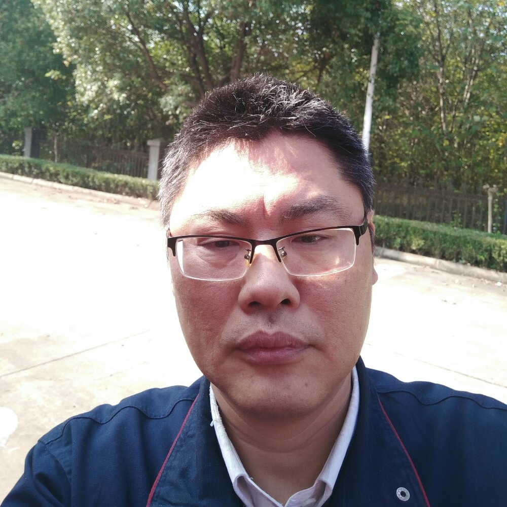 彪壮老虎的照片