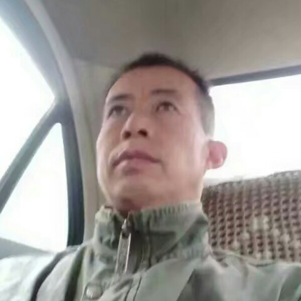 3164521的照片