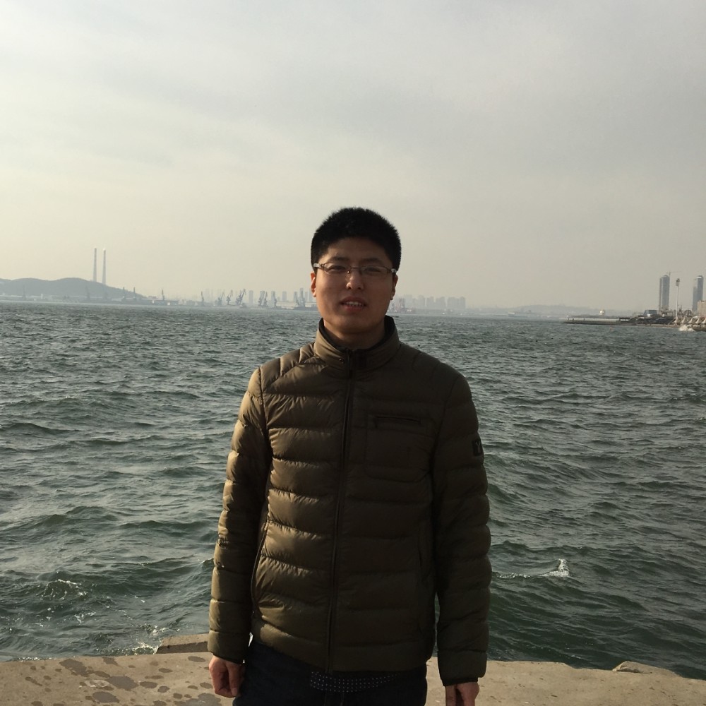 乌龟苦恋甜美的照片