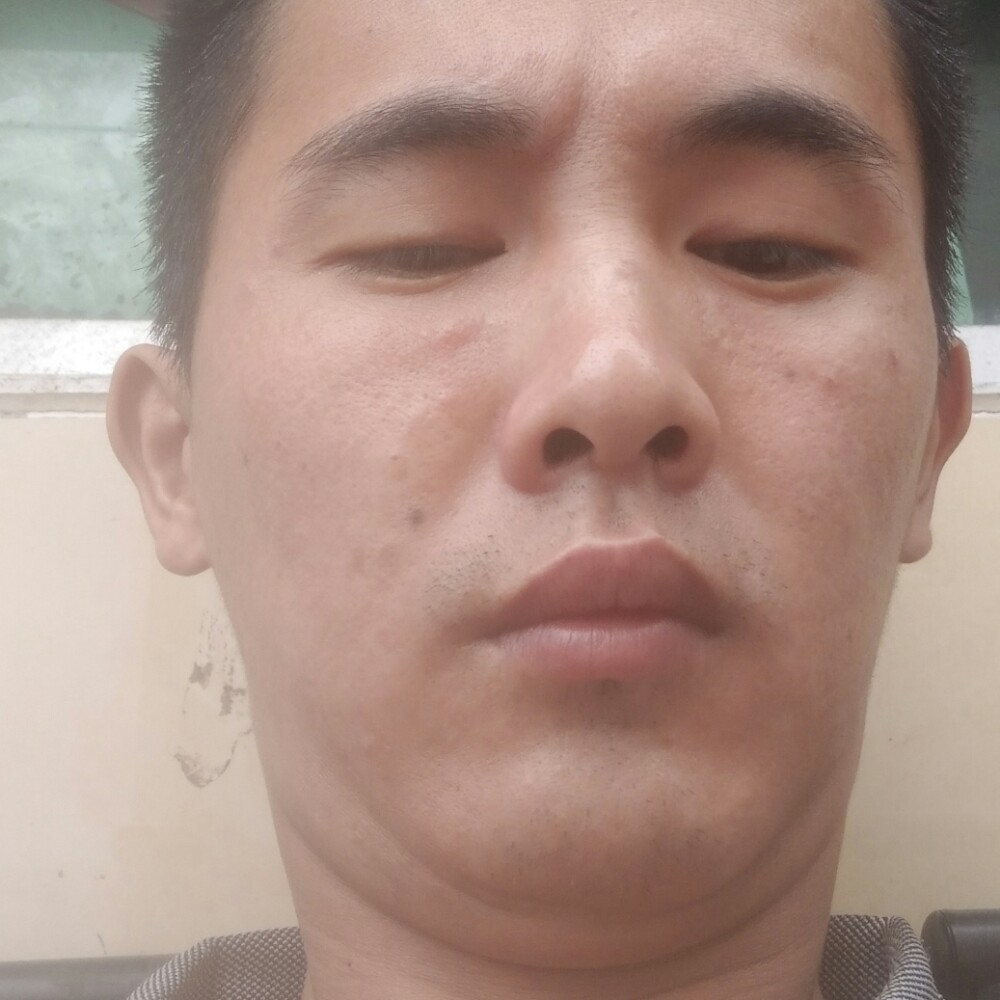刺猬幽默的照片