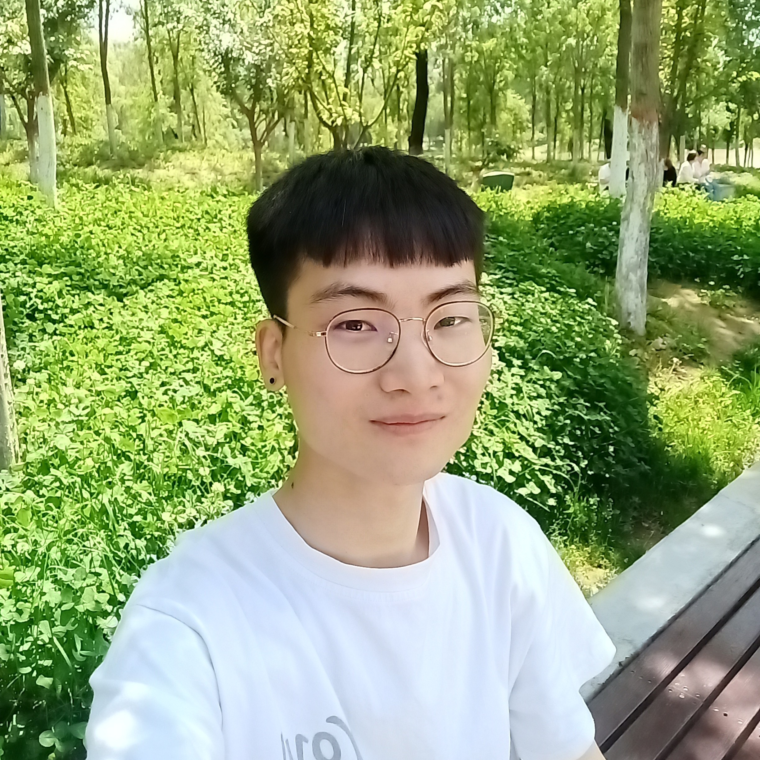 悬壶子的照片