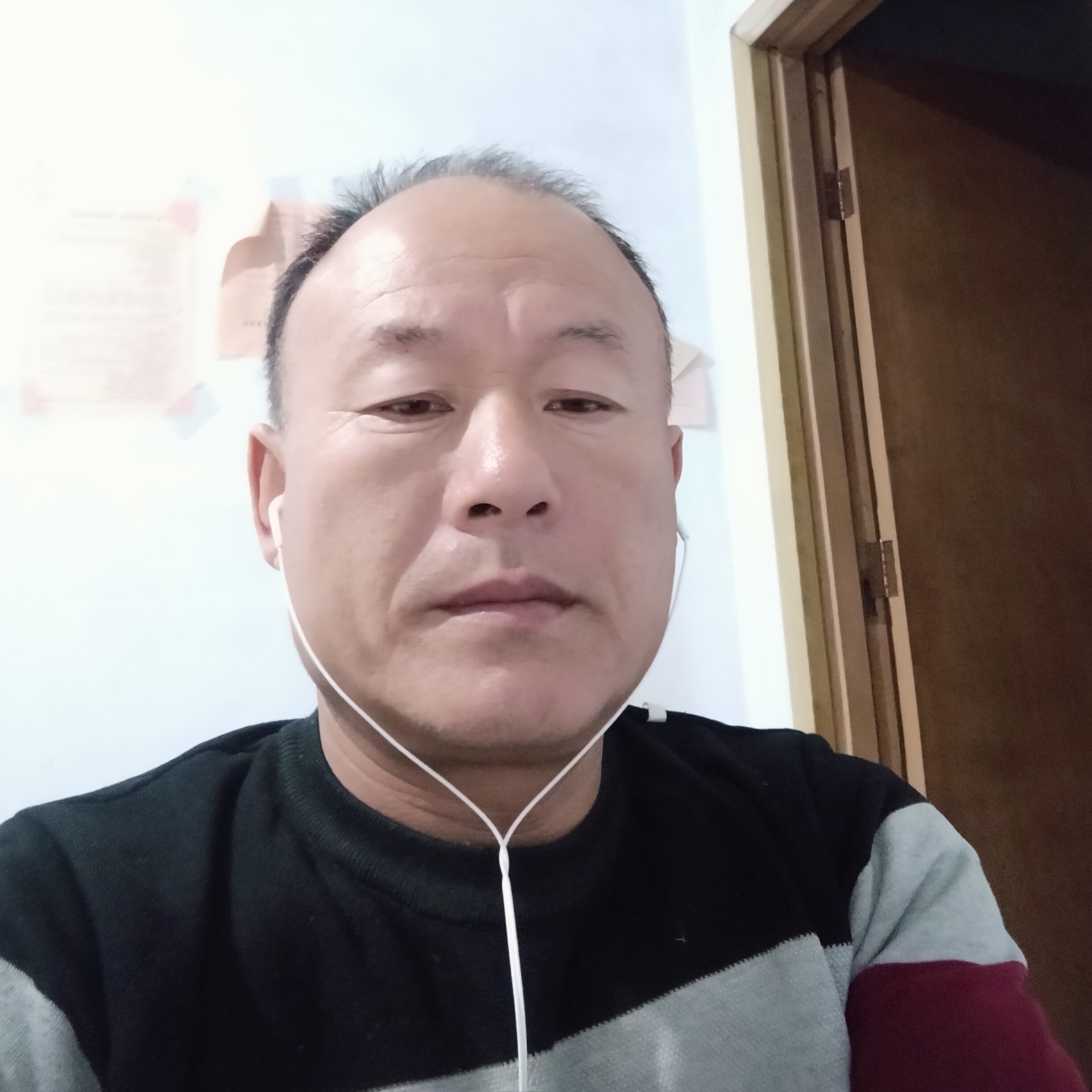 黄蜂用勤奋的照片