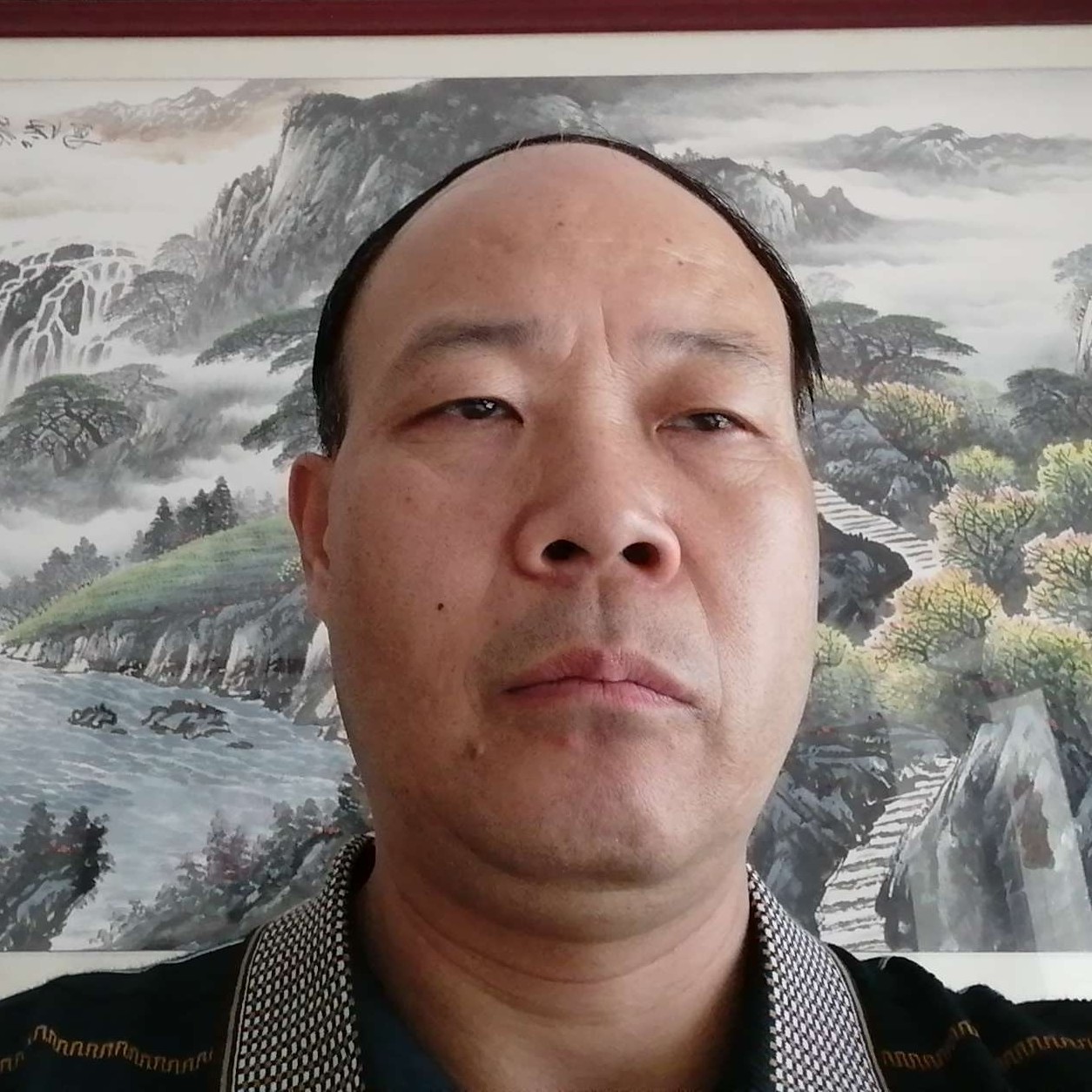 鸭子爱淡淡的照片