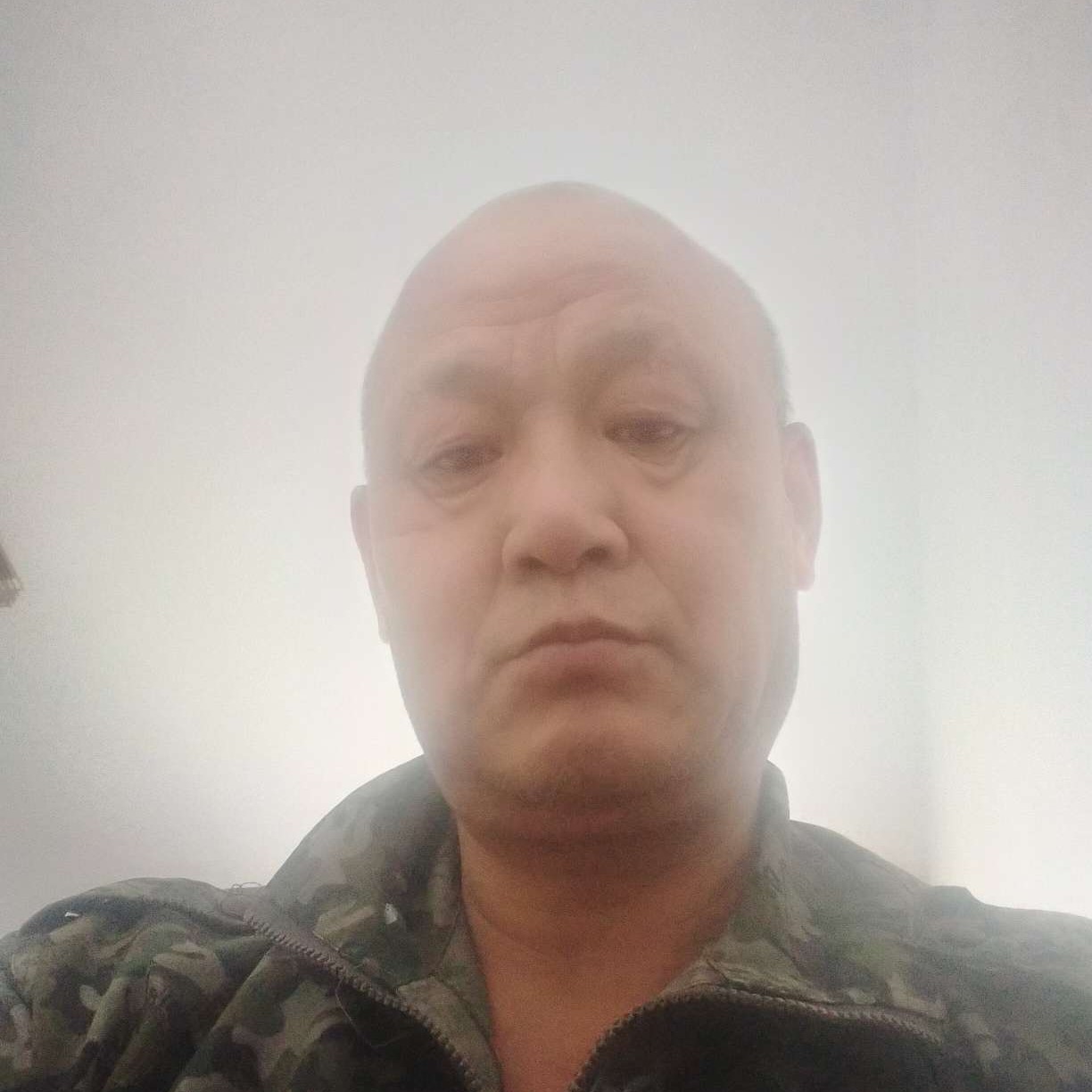 板栗殷勤的照片