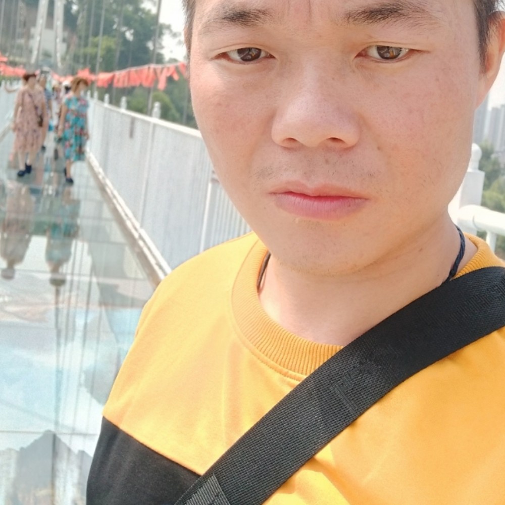 含羞草苦恋不解的的照片