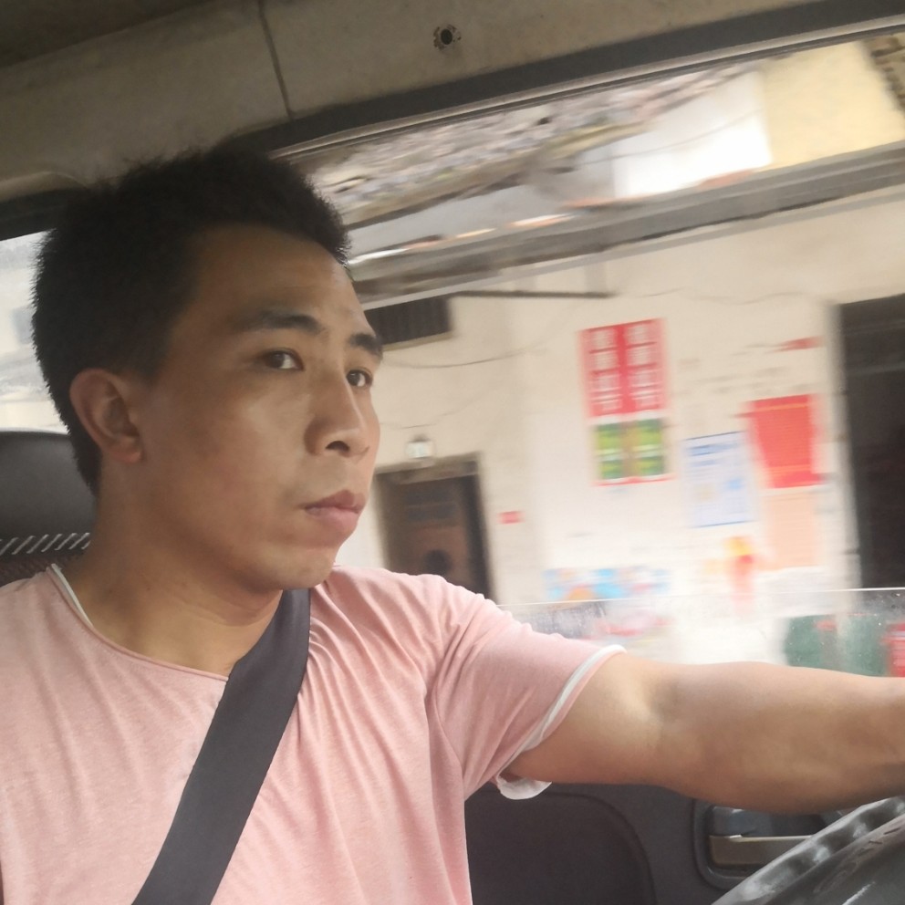 孤單那鸭子的照片