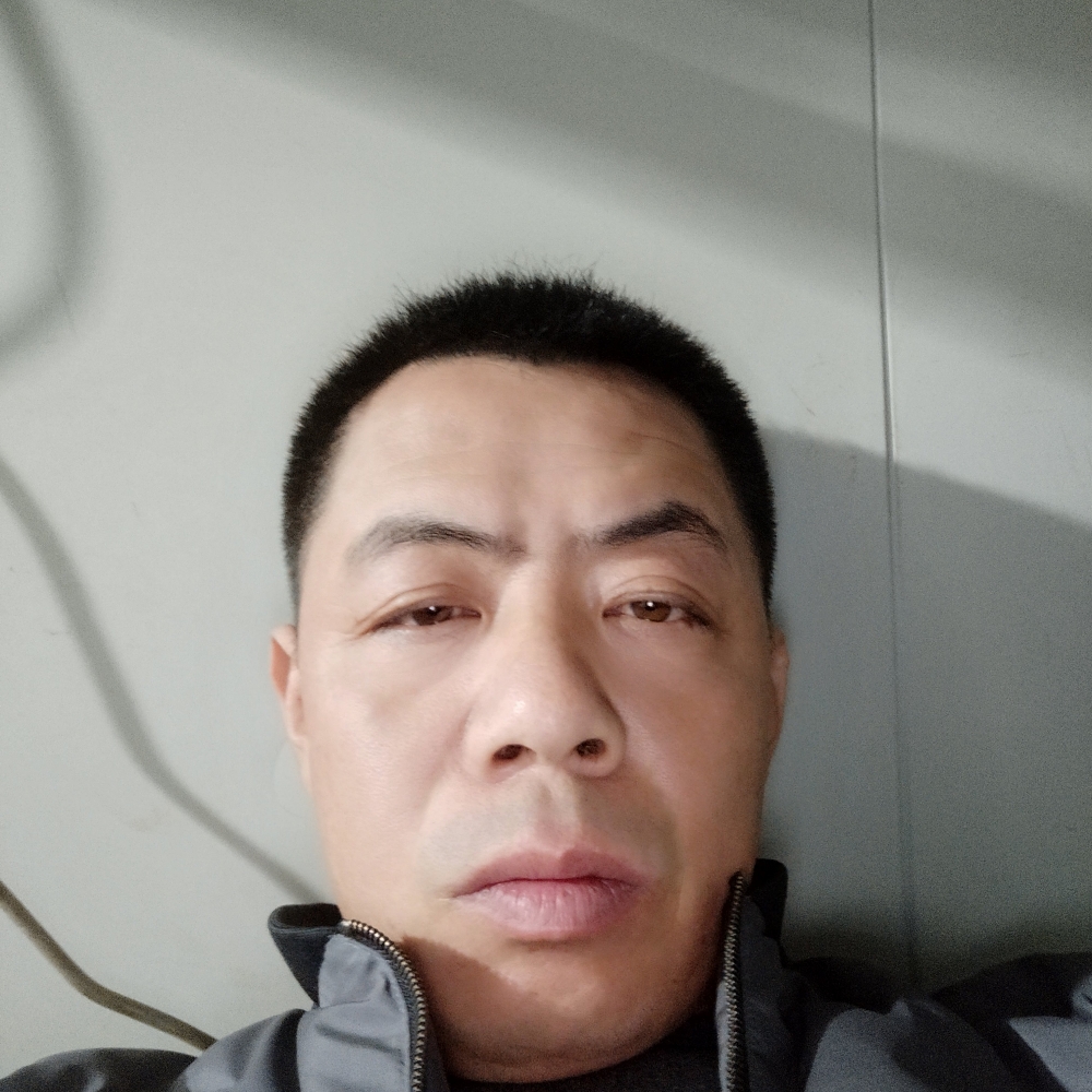 羊爱粗心的照片