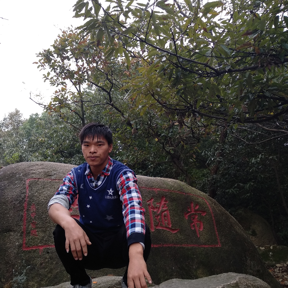 阳光西安的照片