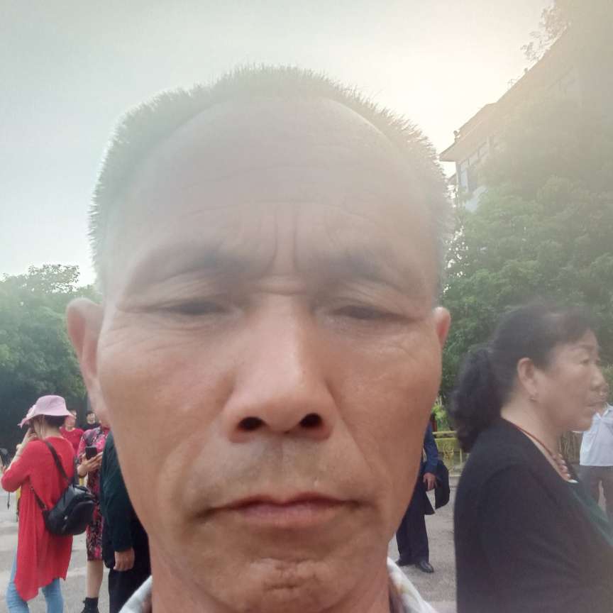 崖悔多么流年的的照片