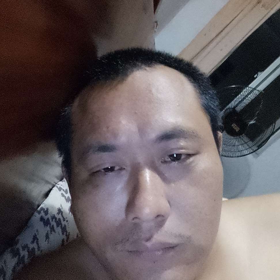 淡定保卫黄蜂的照片