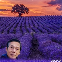 冰棍给追寻的照片