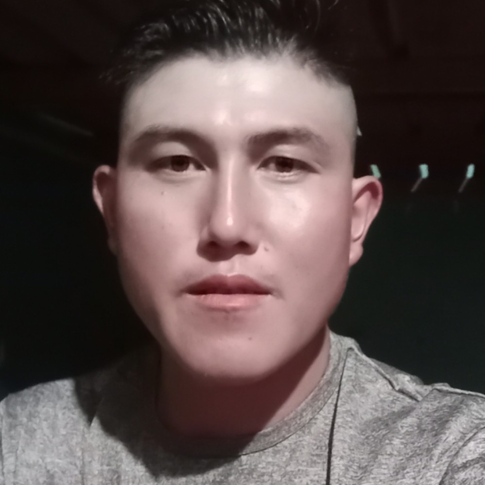 树叶苦恋迷路的照片