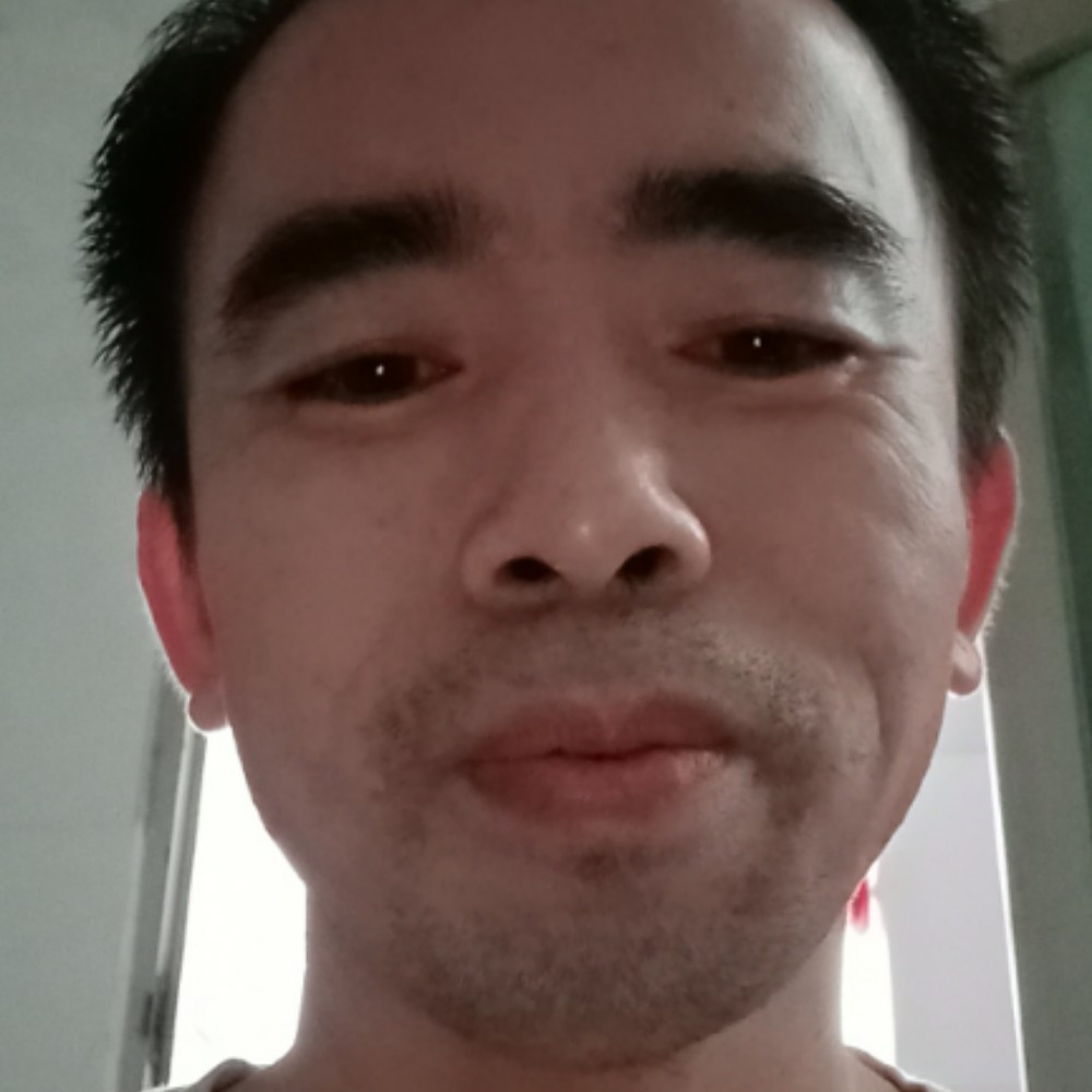 野狼回首沉静的照片