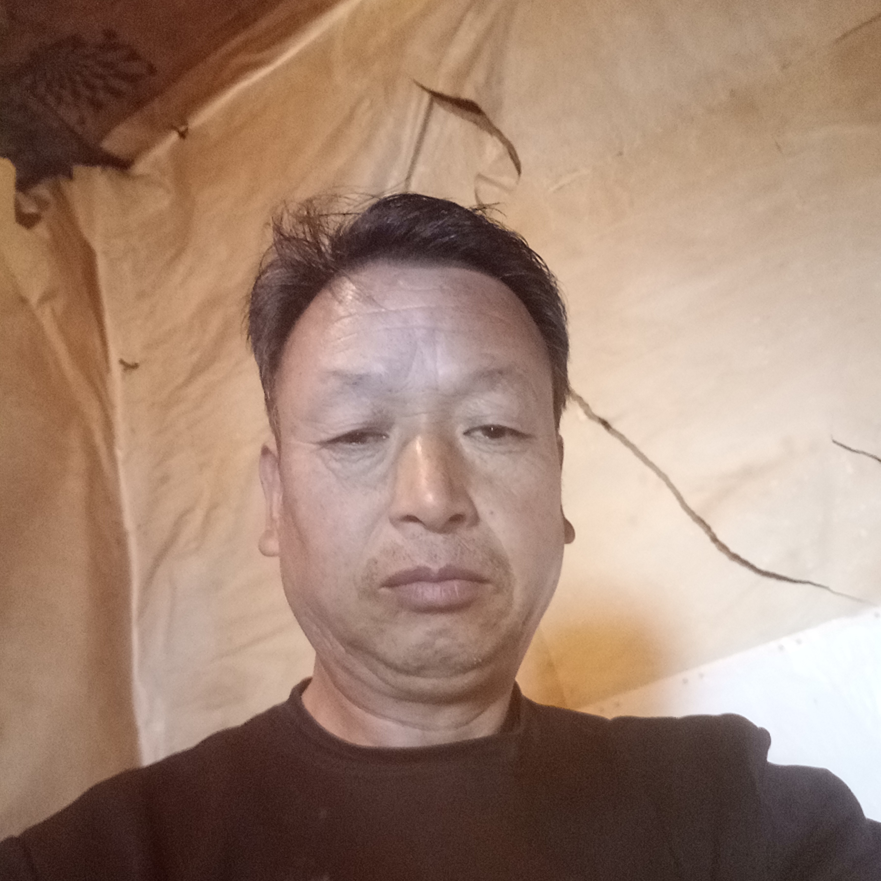 星星放弃霸气的照片