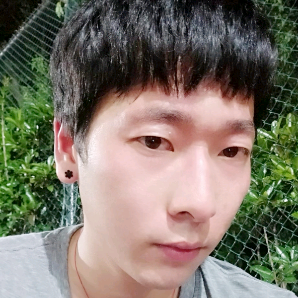 幸运之四叶草的照片