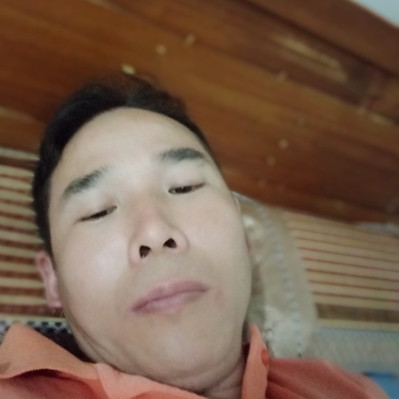 丰富就仙人掌的照片