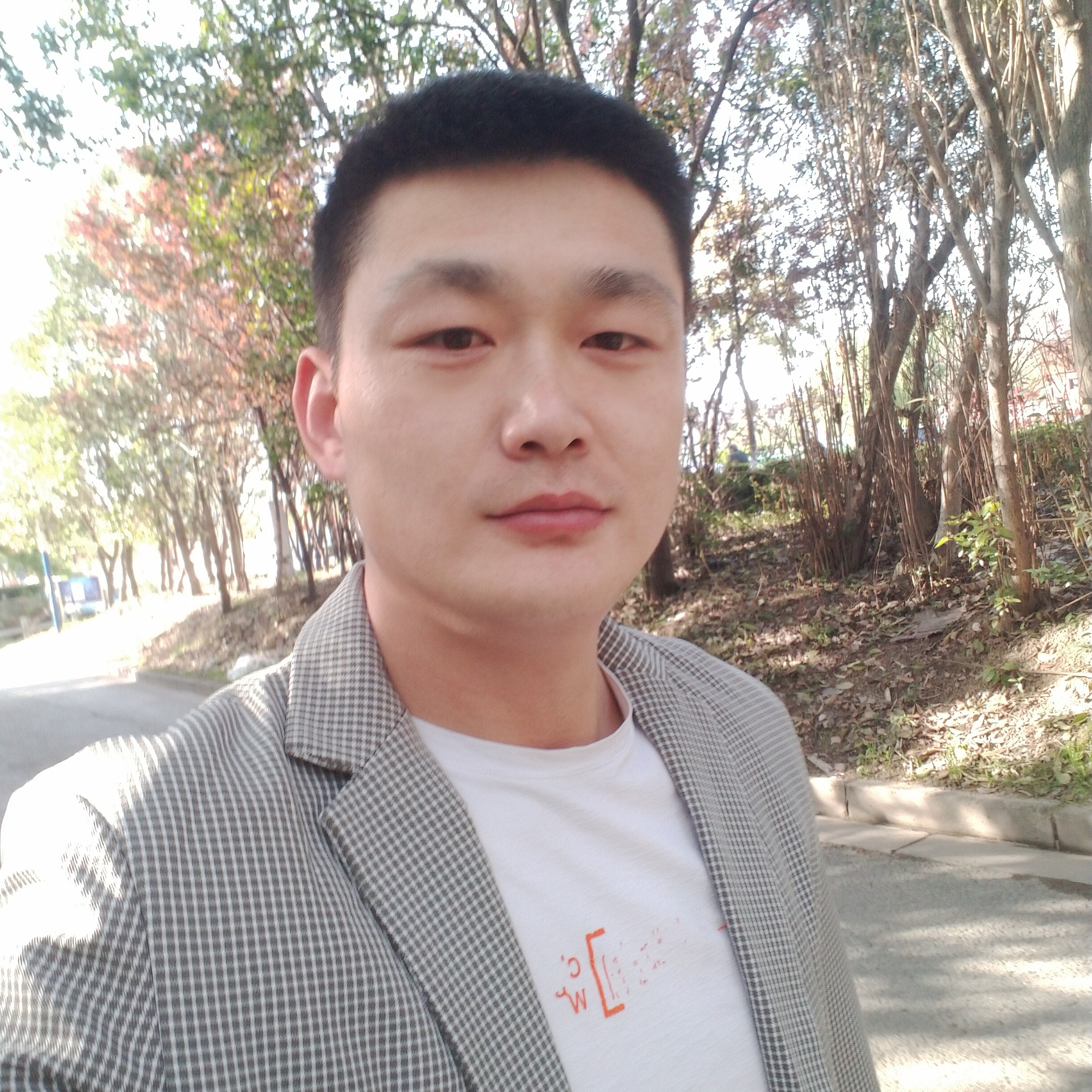 惊鸿停止糊涂的照片